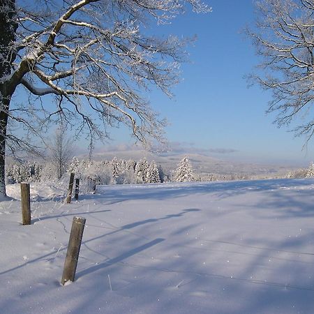 Luxury Apartment In Sumava Mountains Kristanov エクステリア 写真