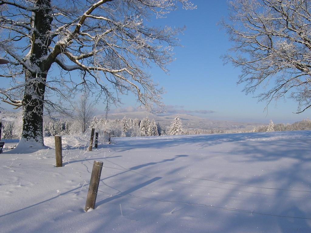 Luxury Apartment In Sumava Mountains Kristanov エクステリア 写真