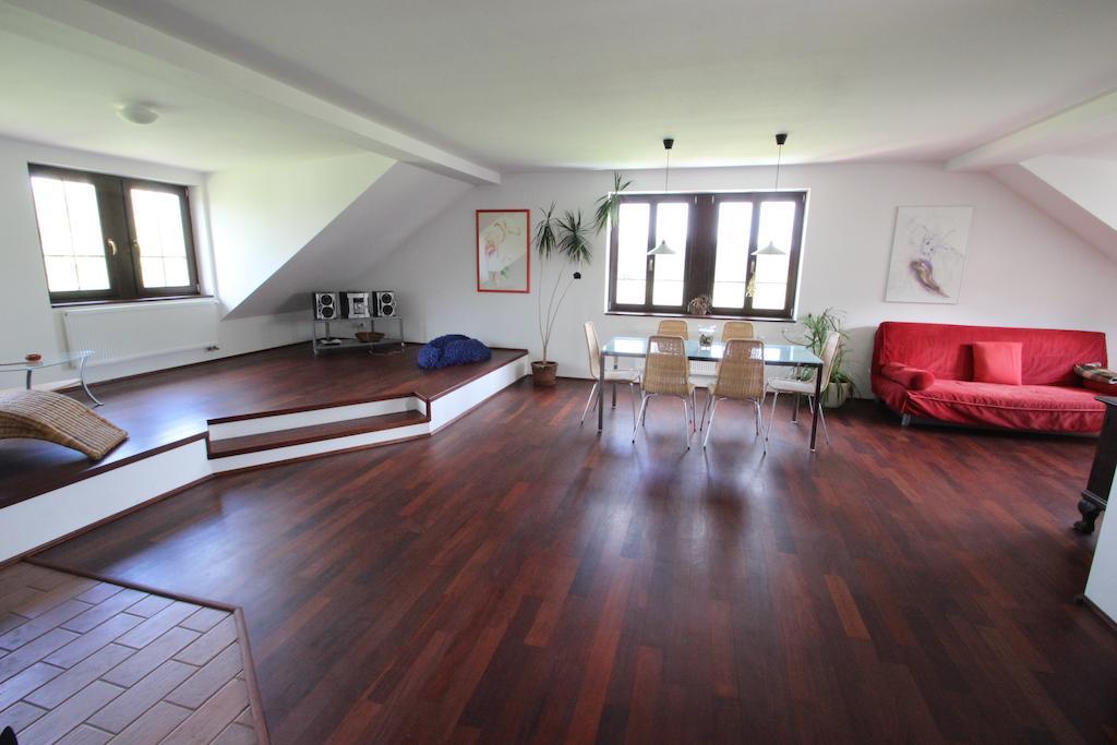 Luxury Apartment In Sumava Mountains Kristanov 部屋 写真