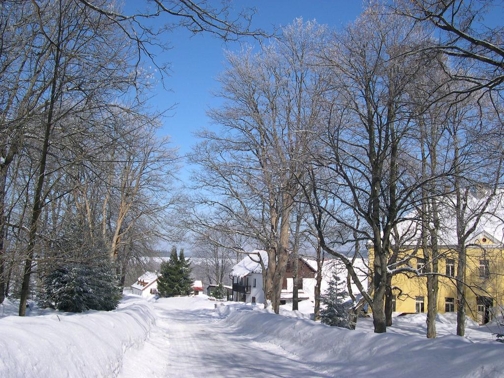 Luxury Apartment In Sumava Mountains Kristanov エクステリア 写真